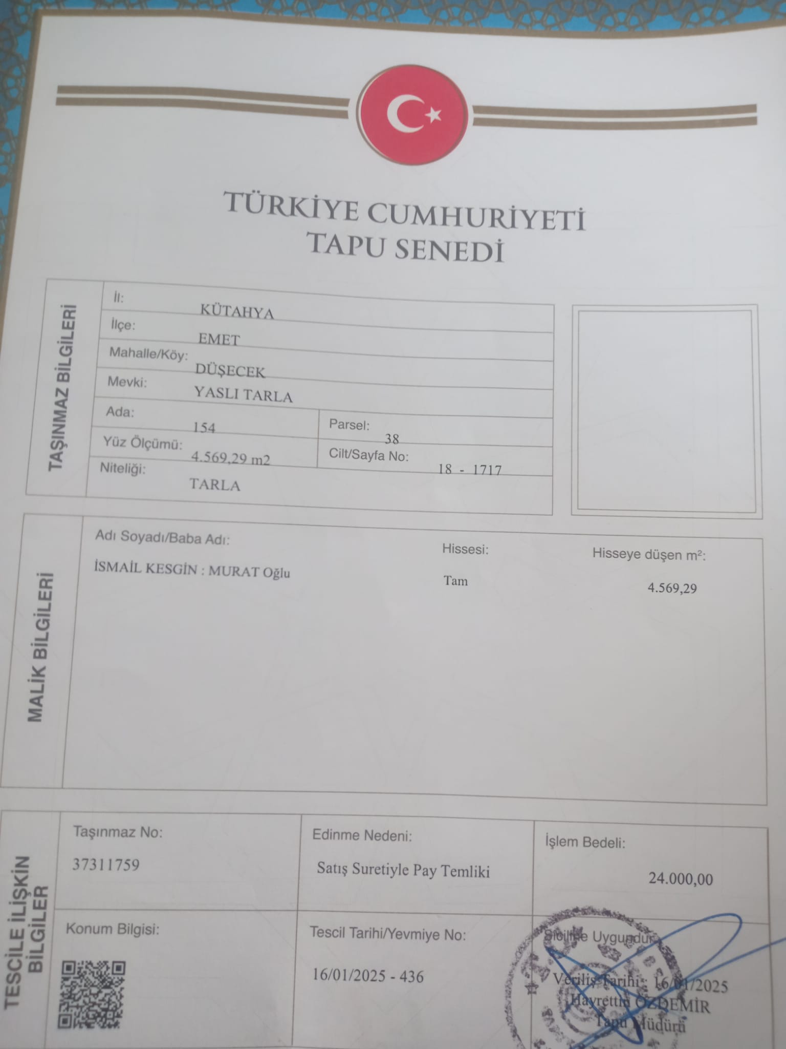 Fotoğraf